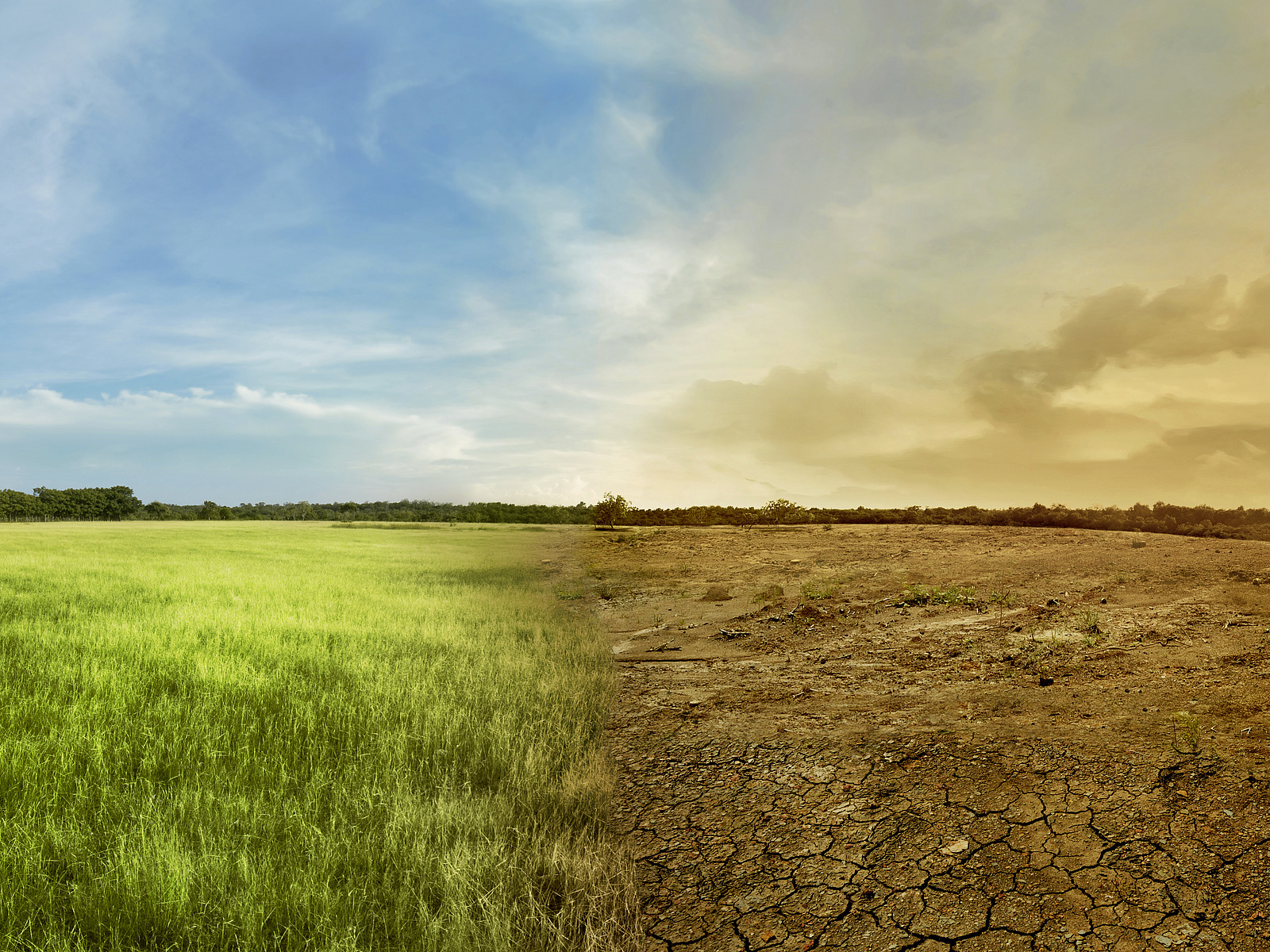Landschaft vor und nach dem Klimawandel