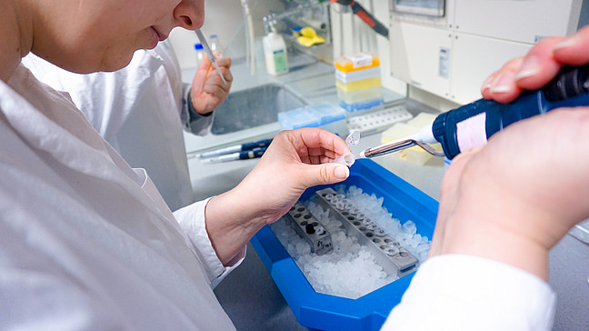 Man sieht den unteren Teil des Gesichts, den Oberk&ouml;rper und die H&auml;nde einer Person im Kittel, die gerade pipettiert.