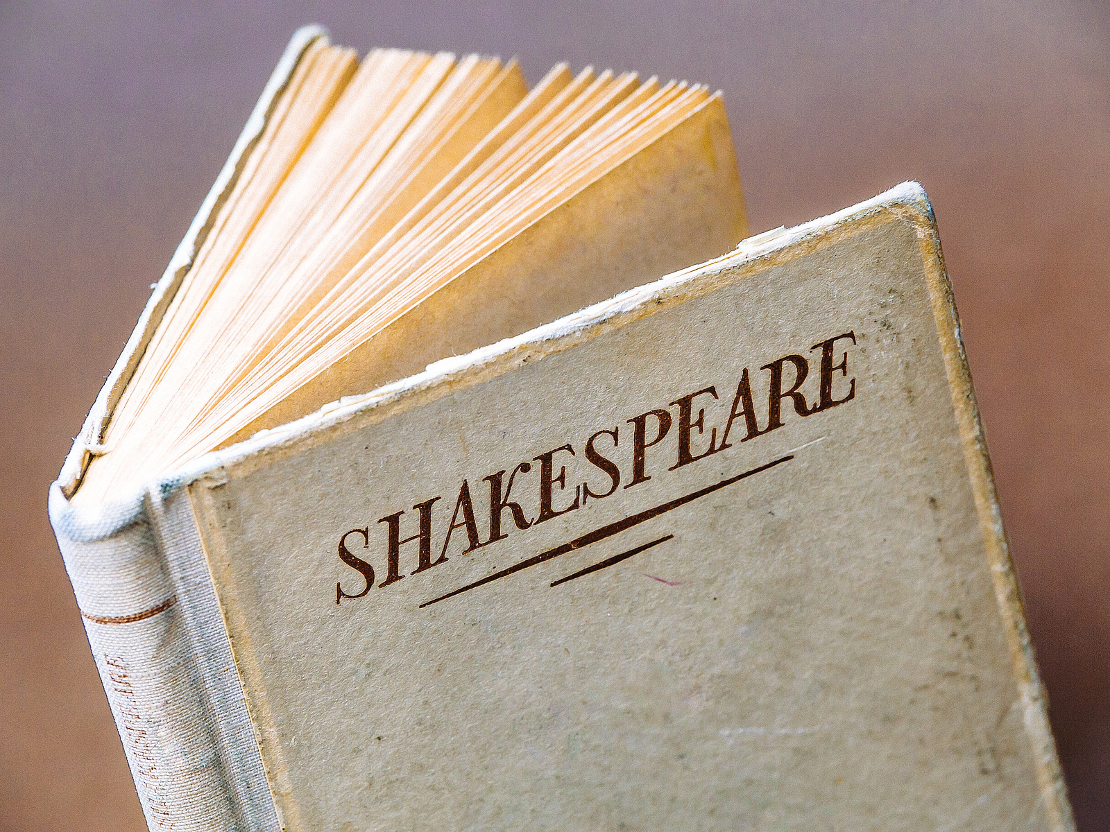 Ein aufgeschlagenes Buch mit dem Schriftzug "Shakespeare". 