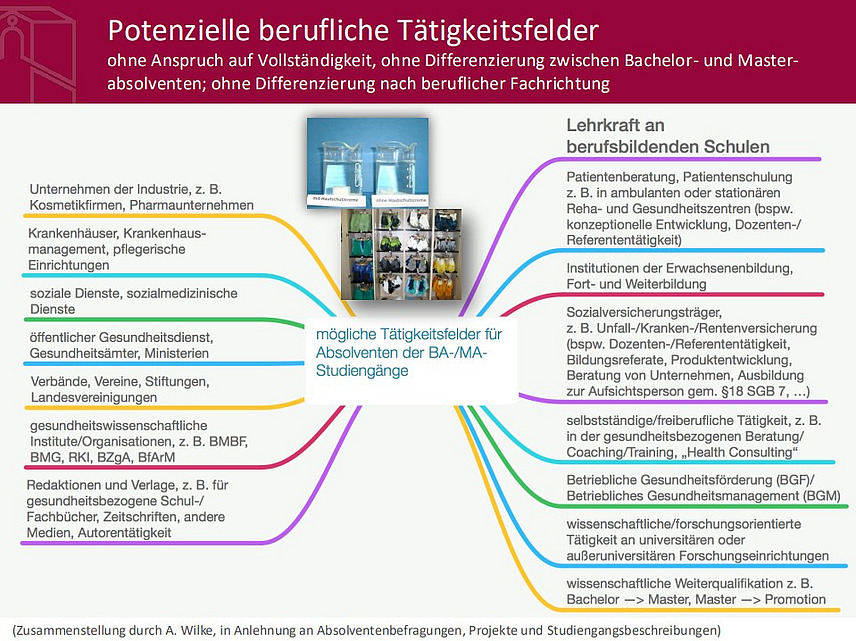 Grafische Darstellung potenzieller beruflicher T&auml;tigkeitsfelder 