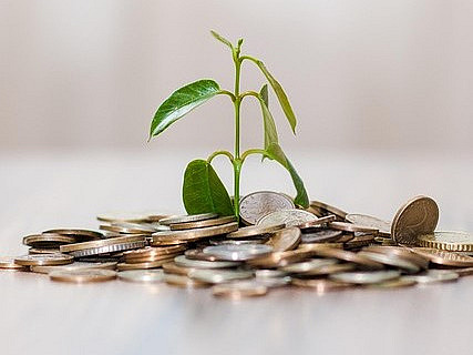 M&uuml;nzen, aus denen eine Pflanze w&auml;chst