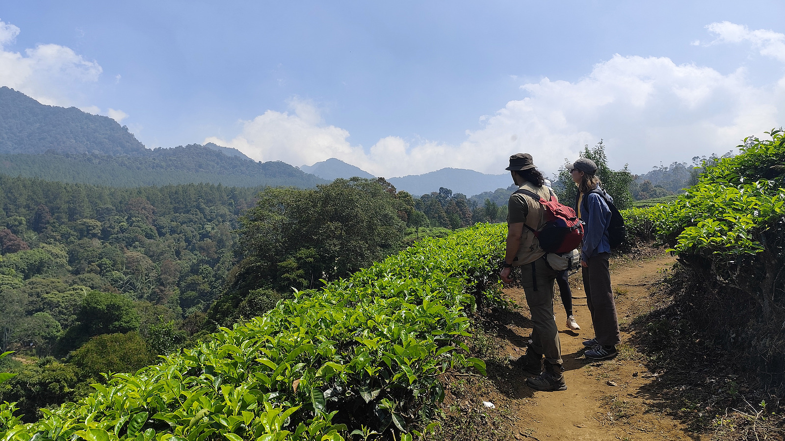 Zwei Personen stehen auf einem Berg und blicken in eine weite, gr&uuml;ne Landschaft mit bewaldeten H&uuml;geln unter einem blauen Himmel. 