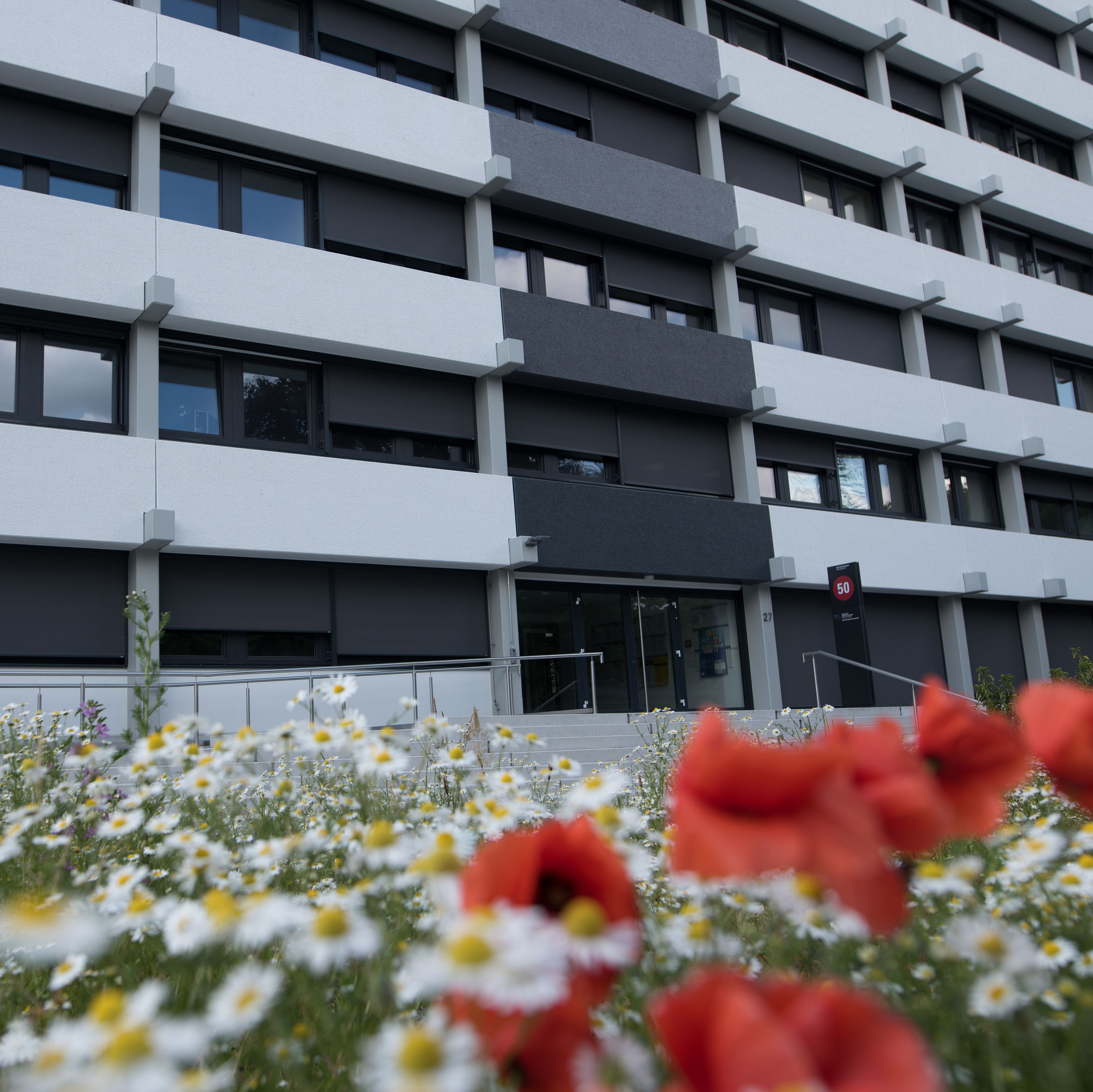 Das Bild zeigt das Gebäude des Institut für Kognitionswissenschaft.
