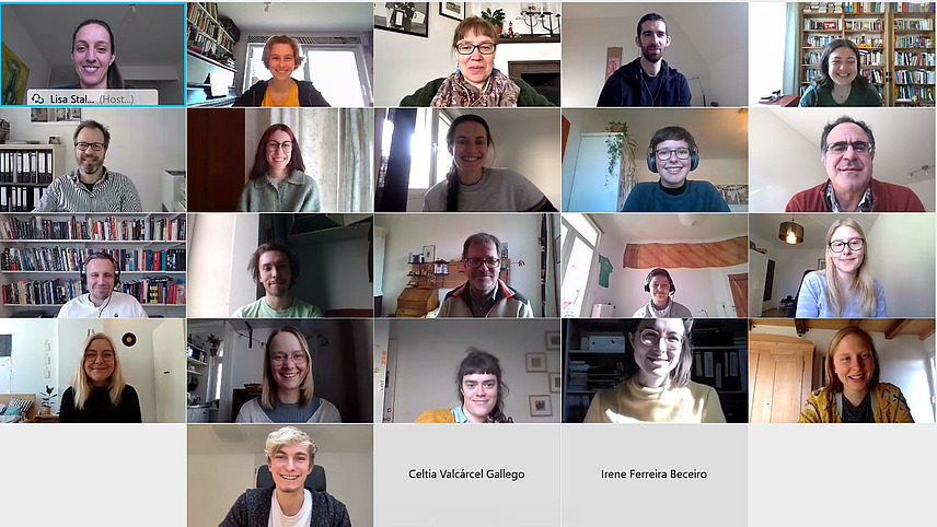 Screenshot Online-Meeting
