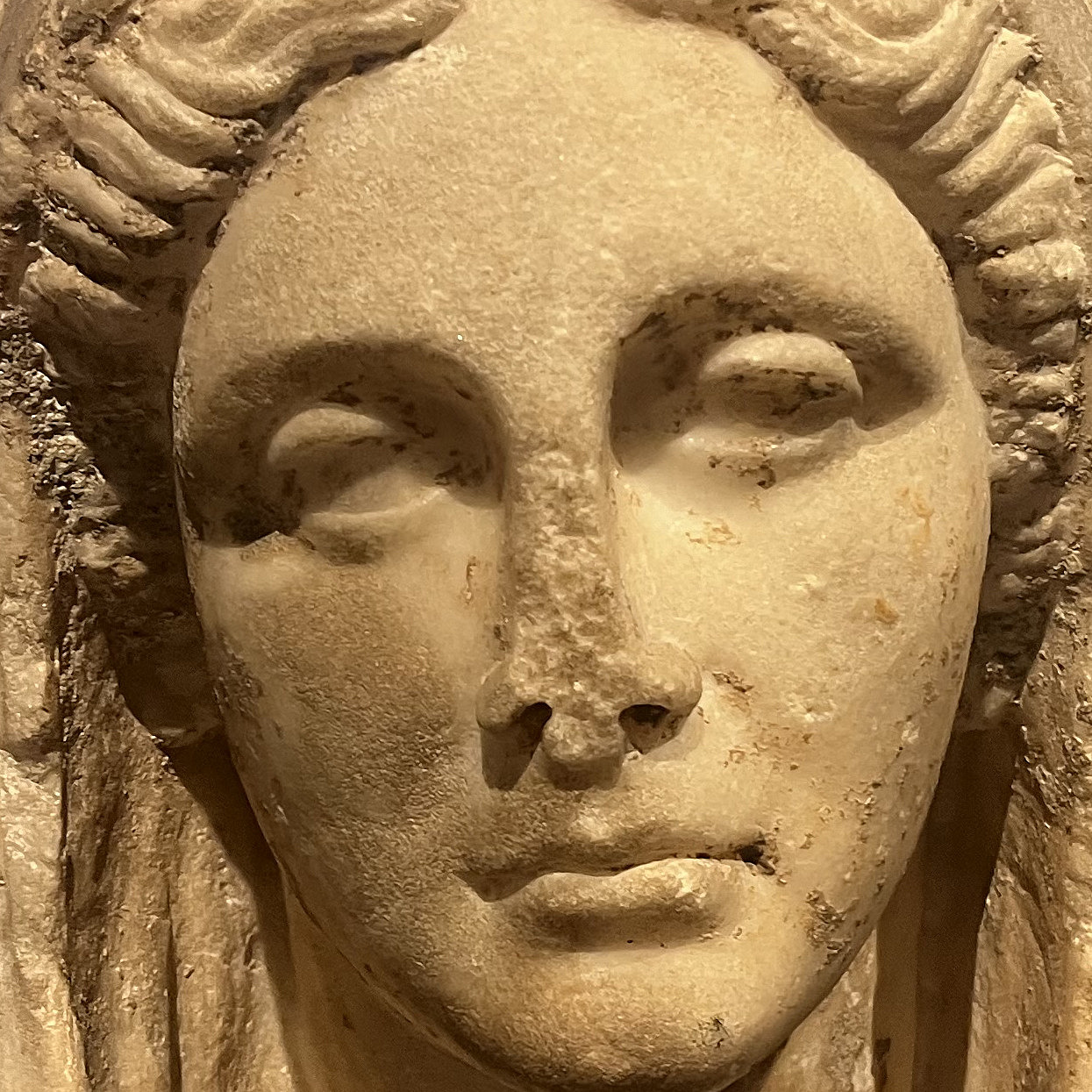Portrait of a female head.