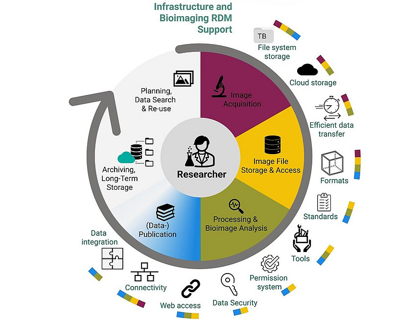 Circular diagram illustrating the lifecycle of research data and the various aspects of infrastructure and data management support provided by central institutions. At the center is the 'Researcher'.  The data lifecycle is shown around the researcher, including 'Image Acquisition', 'Image File Storage & Access', 'Processing & Bioimage Analysis', 'Data (Publication)', 'Archiving, Long-Term Storage' and 'Planning, Data Search & Re-use'. Further outside are the infrastructure/support areas such as 'File system storage', 'Cloud storage', 'Efficient data transfer', 'Formats', 'Standards', 'Tools', 'Permission System', 'Data Security', 'Web access', 'Connectivity' and 'Data Integration'.  