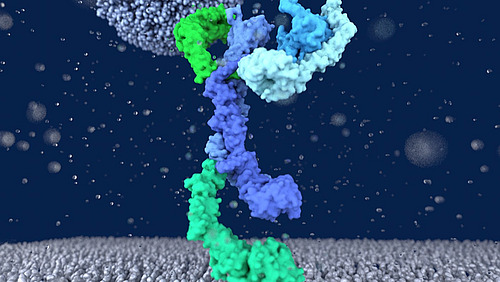 A graphic representation of a blue-green molecule against a dark blue background.