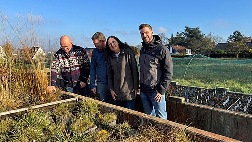 Three men and a woman look at a planter box.