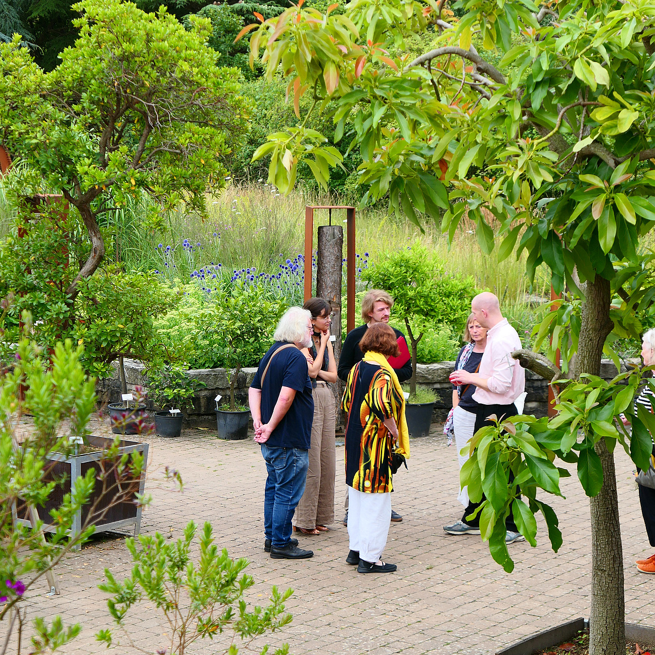 Fünf Personen stehen im Botanischen Garten. Sie unterhalten sich.