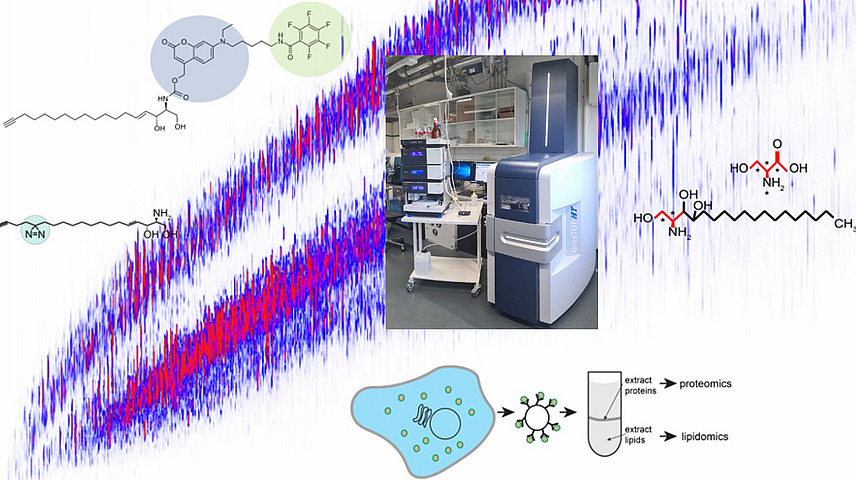 A collage of graphs, structural formulas, schematic representations of cells and reagent tubes and a photo of a large piece of laboratory equipment.
