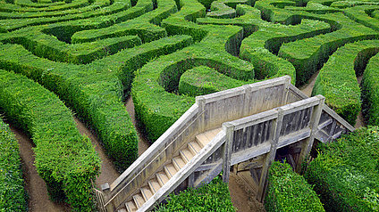 Ein Labyrinth aus Hecken, von oben; A hedge maze, viewed from above.