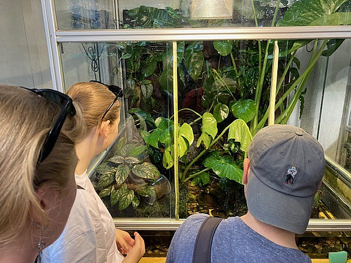Three people look into an enclosure enclosed by panes of glass, in which many plants can be seen.