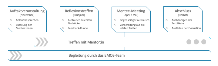Ablaufdiagramm des Mentorings 