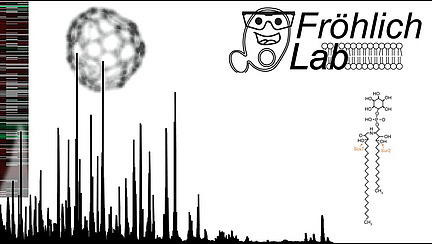 A collage of diagrams. The lettering ‘Fröhlich Lab’ at the top right.