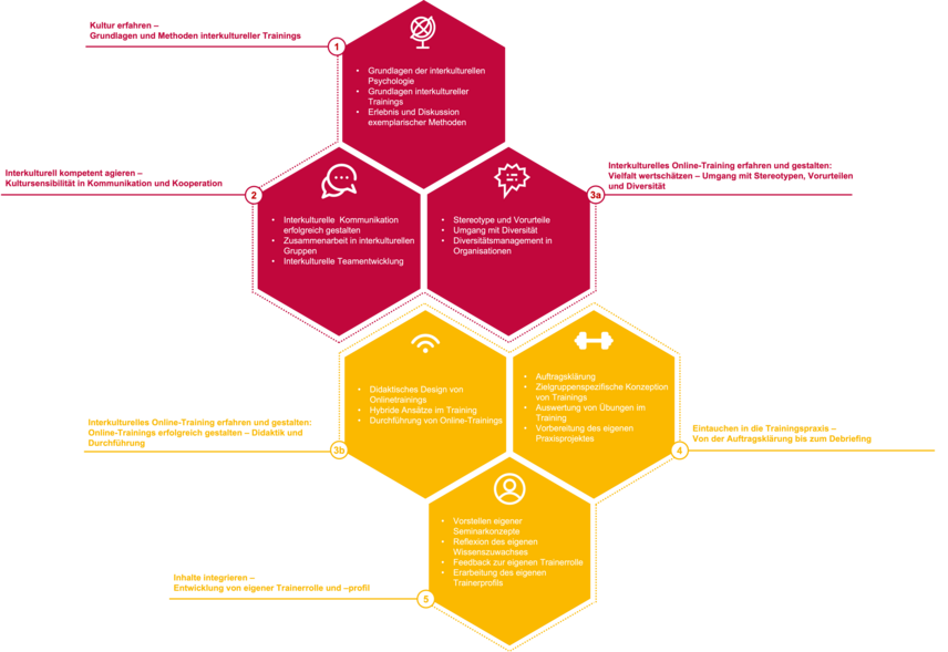 Grafische Darstellung der Module der Weiterbildung Interkulturelle*r Trainer*in