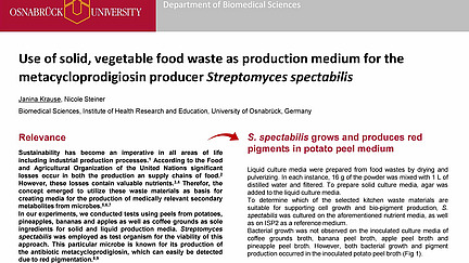 Posterpr&auml;senation von Janina Krause