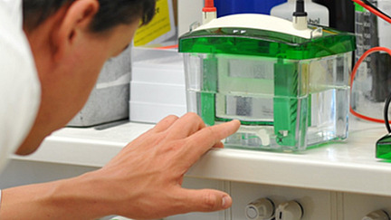 A man in a lab coat looks at an experimental set-up.