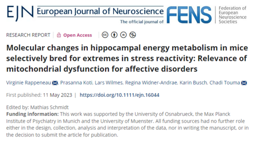 neuer Artikel im European Journal of Neurosciences