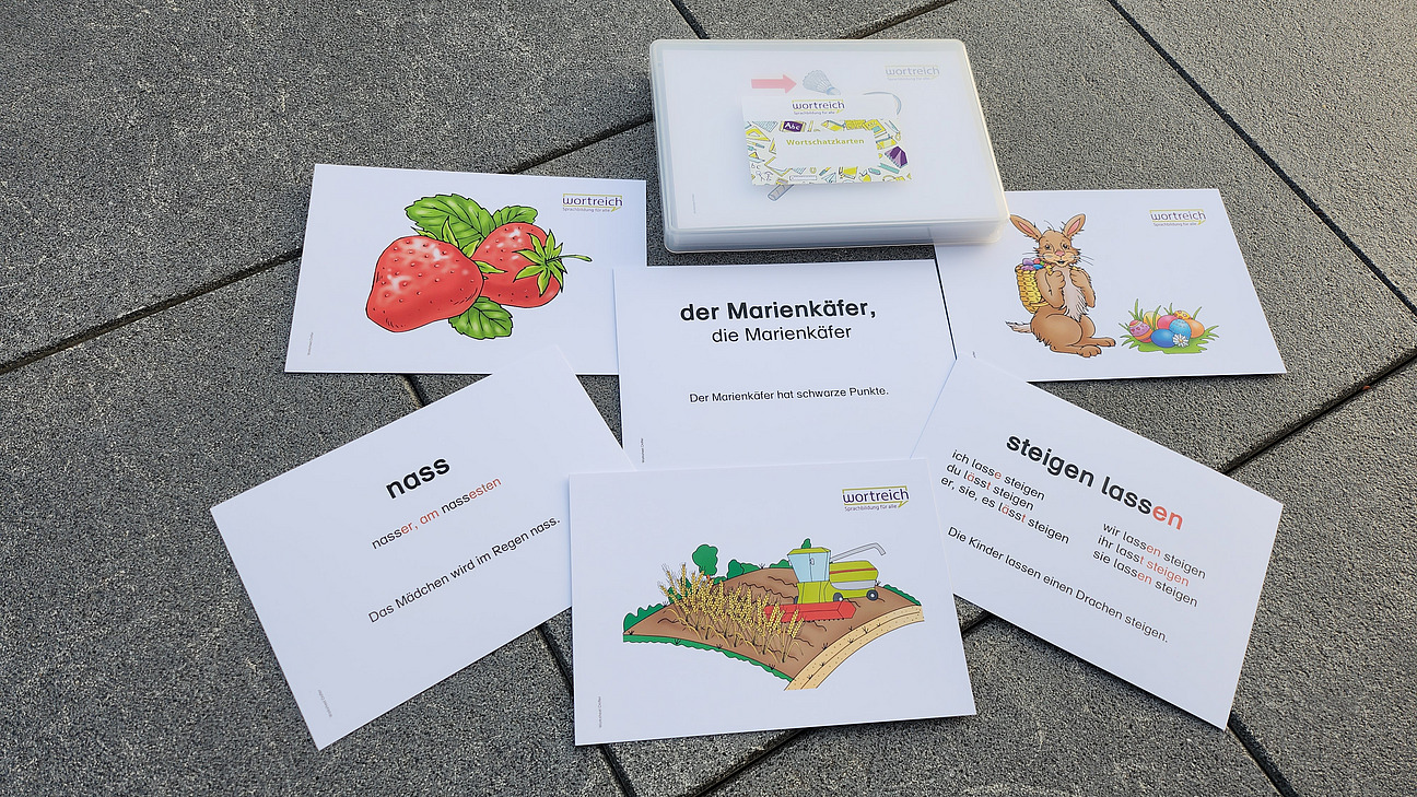 Arbeitsmaterial zum Modul Wortschatz. Die Karten, die aus der Box geneommen wurden, sind auf der Vorderseite mit einem Bild und auf der Rückseite mit Beispielsätzen, Beugungen, Steigerungen und anderen Erklärungen versehen.