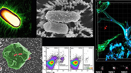 A collage of microscope images, including microorganisms, and diagrams.