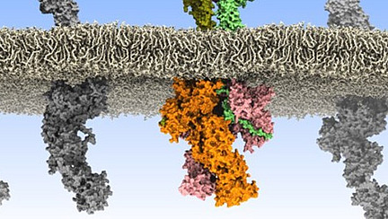 Models of molecules, one is coloured in different colours, the others are grey.
