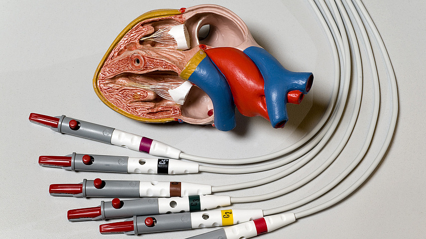 Close-up of the model of a human heart. Electrodes lie on a table in front of it.