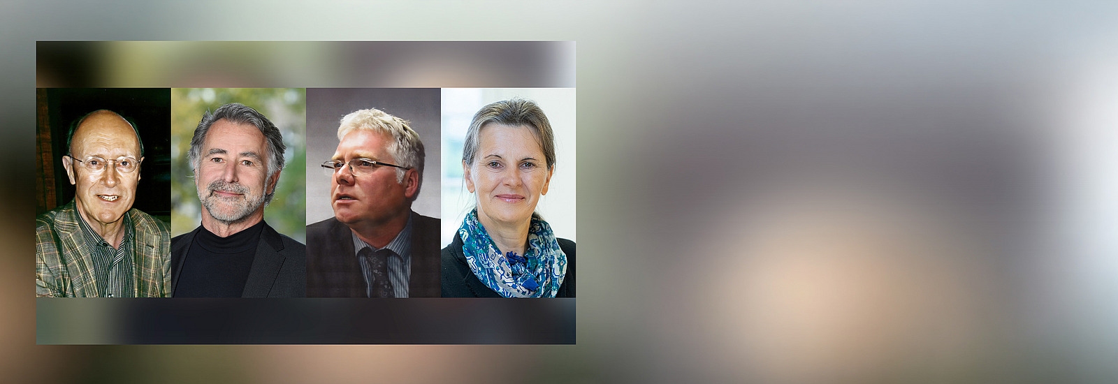 Rainer Eisfeld, Wolfgang Merkel, Hubertus Buchstein, Andrea Lenschow 