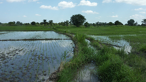 Landwirtschaftliche Nutzfl&auml;che
