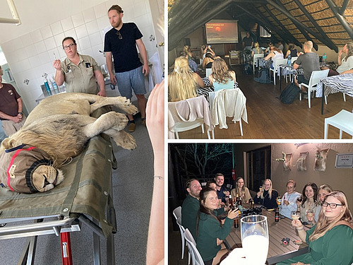 Collage aus drei Bildern; Bild 1: Hinter einem schlafenden L&ouml;wen steht eine Person mit einer Spritze in der Hand; Bild 2: Sitzende Personen verfolgen einen Vortrag; Bild 3: Eine Personengruppe mit Getr&auml;nken in der Hand l&auml;chelt in die Kamera;