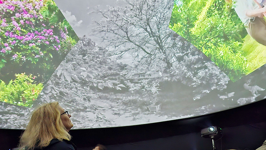 Spectator viewing an immersive projection of nature motifs in a dome.
