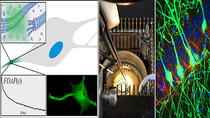 A collage of microscopic and graphic representations of nerve cells and cellular processes, as well as fingers holding tweezers.