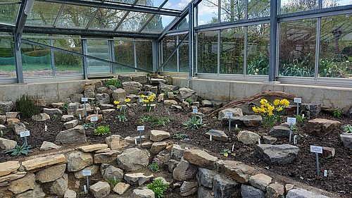 The inside of a greenhouse