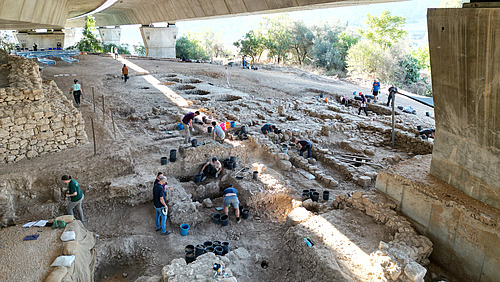 Mehrere Menschen stehen unter einer großen Betonbrücke und graben in quadratischen Feldern in der Erde