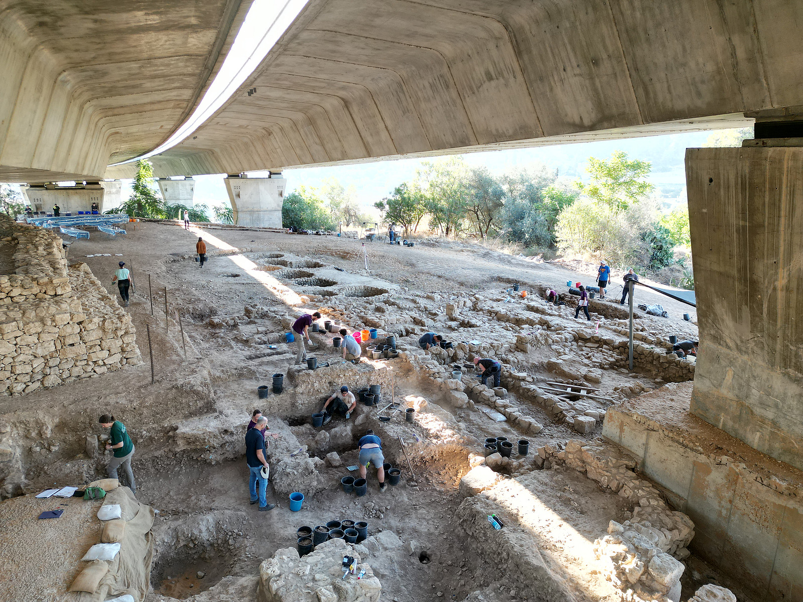 Mehrere Menschen stehen unter einer großen Betonbrücke und graben in quadratischen Feldern in der Erde
