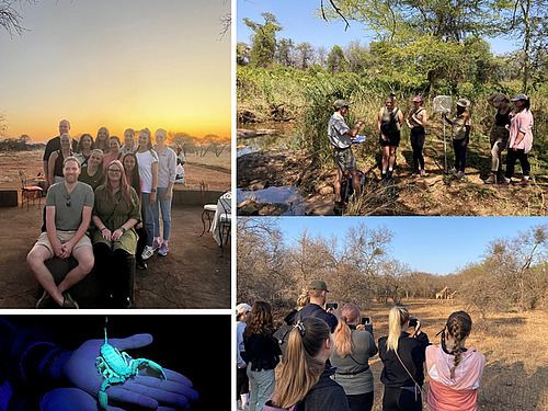 Eine Collage aus vier Bildern. Bild 1: L&auml;chelnde Personen; Bild 2: Eine Personengruppe mit einem Kescher steht in einem Feld und lauscht einer Person, die anscheinend etwas erkl&auml;rt; Bild 3: Ein Skorpion; Bild 4: Eine Personengruppe fotografiert Giraffen in der Ferne.