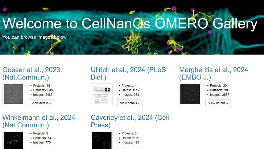 Screenshot der Webseite des öffentlichen Bildrepositoriums vom CellNanOs