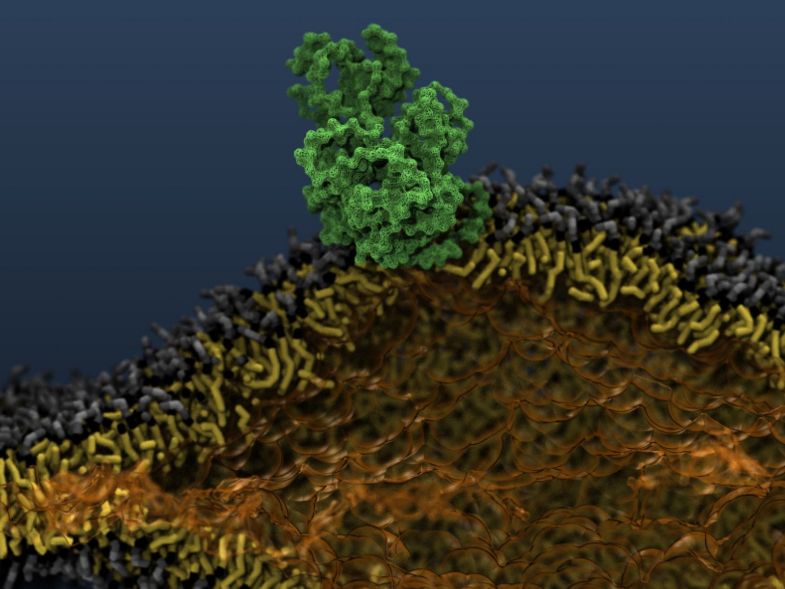 Schematische Darstellung einer Zellmembran bestehend aus l&auml;nglichen, strukturiert angeordneten Gebilden