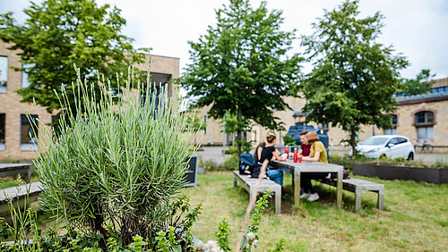 A meadow with trees, a table and benches in the middle with several young people.