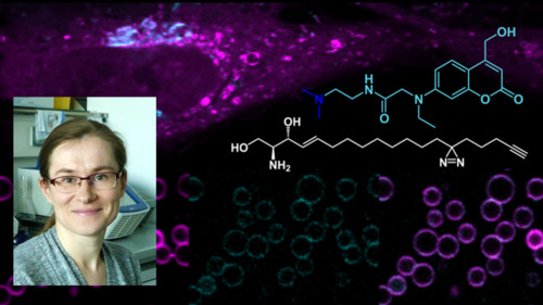 A collage of a portrait of a smiling woman, chemical structural formulas and a colourful microscopic image.