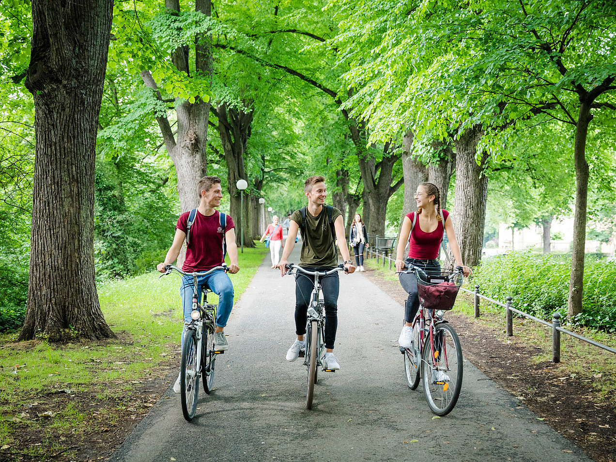 Three young adults on bikes ride side by side on a cycle path with trees and chat