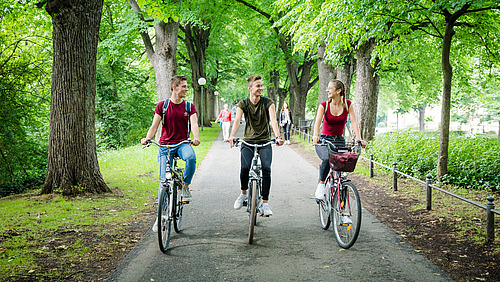Three young adults on bikes ride side by side on a cycle path with trees and chat