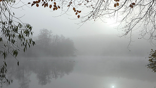 Nebel liegt über einem See und verleiht der Landschaft eine mystische und ruhige Atmosphäre. Die Bäume und das Ufer verschwinden im diffusen Licht.