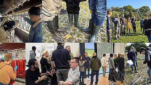 Eine Collage von Szenen eines landwirtschaftlichen Betriebs.