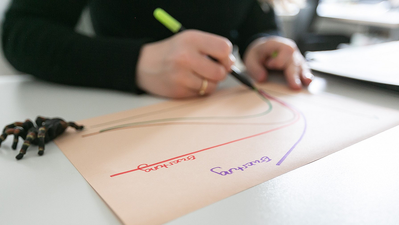 Eine Person zeichnet ein Diagramm auf Papier, neben dem eine künstliche Vogelspinne sitzt