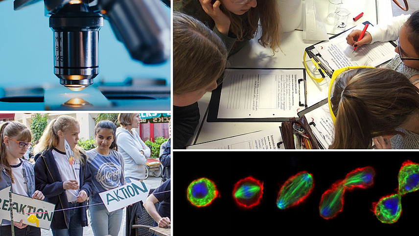 A collage shows a microscope, colorful pictures of a dividing cell, students filling out worksheets, and students holding signs.