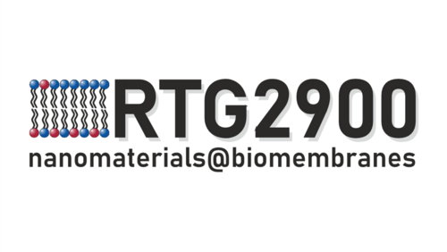 Logo of the Research Training Group 2900