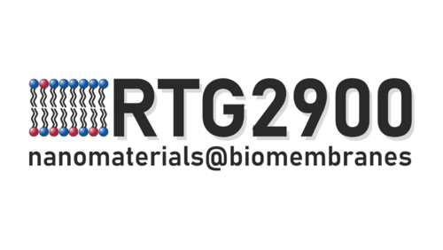 Logo der Research Training Group 2900