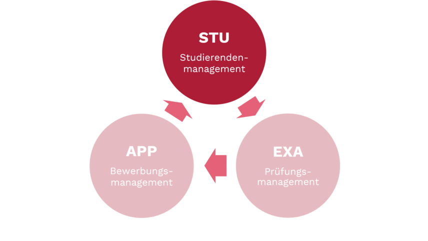 Übersicht der Teilbereich APP, STU, EXA in drei im Dreieck angeordneten Kreisen; STU hervorgehoben