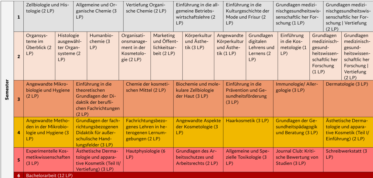 Tabellarischer Modulverlaufsplan Bachelor Berufliche Bildung Kosmetologie 