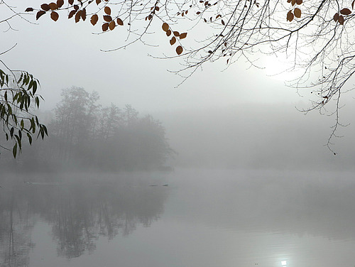 Nebliger See in einer stillen, herbstlichen Landschaft. Im Vordergrund rahmen kahle &Auml;ste und vereinzelte Bl&auml;tter das Bild. Der See spiegelt die gespenstisch wirkenden, vom Nebel umh&uuml;llten B&auml;ume am Ufer wider. Die Szene wirkt ruhig, melancholisch und nachdenklich.